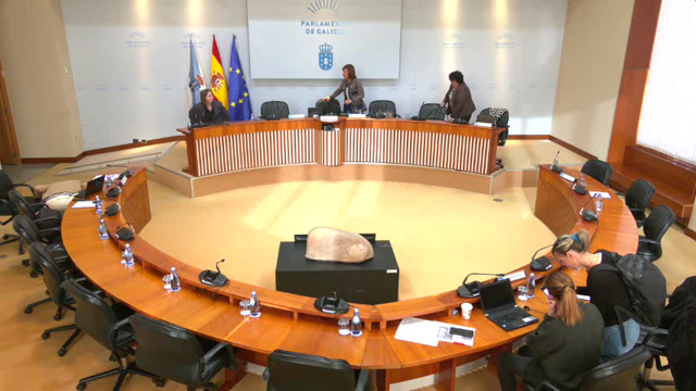 Comisión non permanente de estudo para a Igualdade e para os Dereitos das Mulleres
