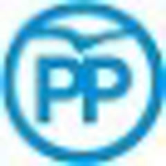 Grupo Parlamentario Popular