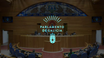 poster Pleno Debate Estado da Autonomía