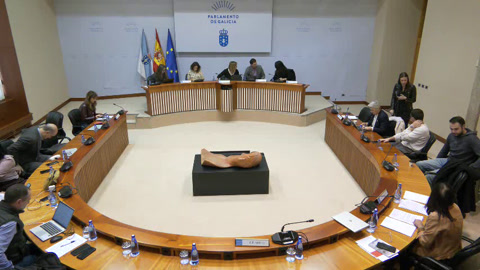 Comisión Permanente non lexislativa de Control da Corporación de Servizos Audiovisuais de...