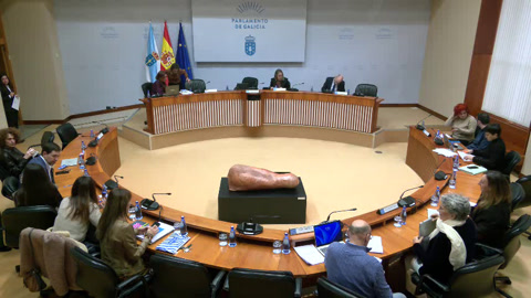 Comisión  5ª,  Sanidade,  Política  Social  e  Emprego