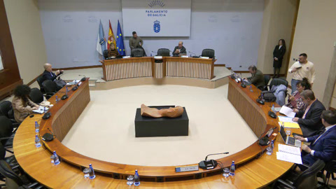 Comisión 2ª, Ordenación Territorial, Obras Públicas, Medio Ambiente e Servizos