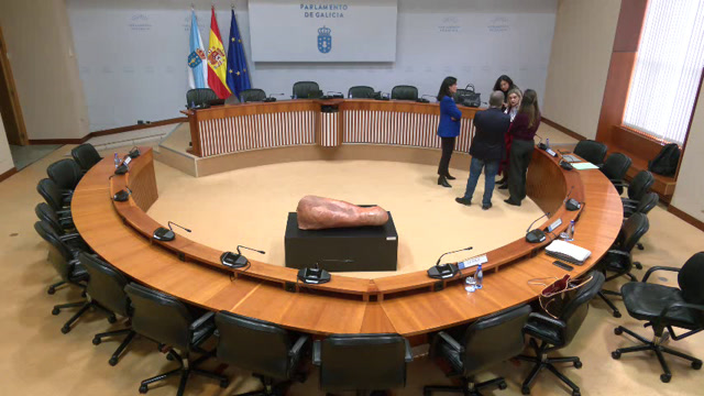 poster Comisión de Peticións