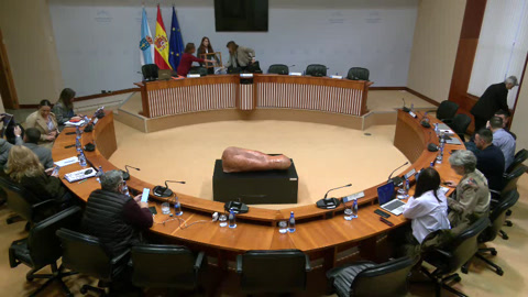 Comisión  Permanente  non  lexislativa  de  Control  da  Corporación  de  Servizos de Galicia