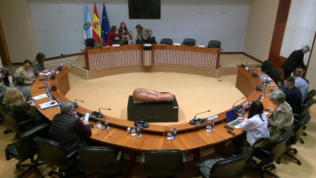 poster Comisión  Permanente  non  lexislativa  de  Control  da  Corporación  de  Servizos de Galicia