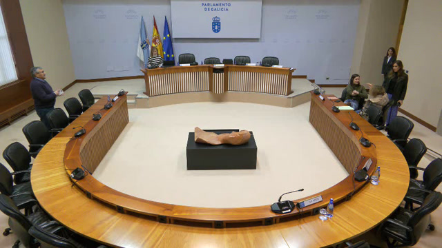 poster Comisión non permanente de estudo para o seguimento das políticas relativas á discapacidade e...