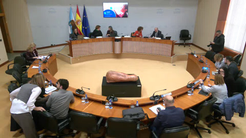 Comisión 5ª, Sanidade, Política Social e Emprego