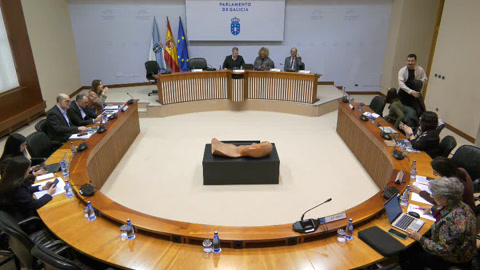 Comisión 4ª, Educación e Cultura