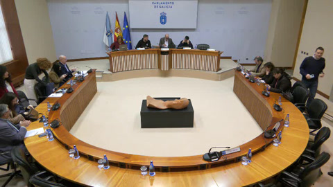 Comisión 2ª, Ordenación Territorial, Obras Públicas, Medio Ambiente e Servizos