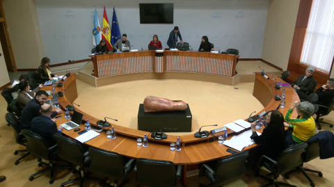 Comisión  Permanente  non  lexislativa  de  Control  da  Corporación  de  Servizos...