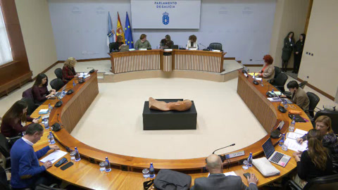 Comisión  5ª,  Sanidade,  Política  Social  e  Emprego