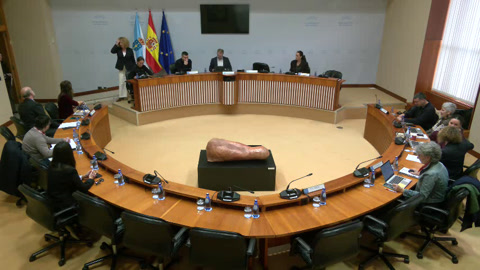 Comisión 4ª, Educación e Cultura