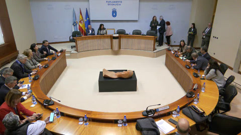 Comisión non permanente especial de estudo para abordar a proposta da Comunidade Autónoma de...