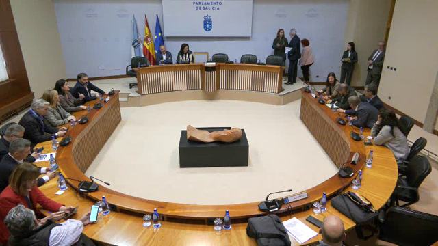 poster Comisión non permanente especial de estudo para abordar a proposta da Comunidade Autónoma de...