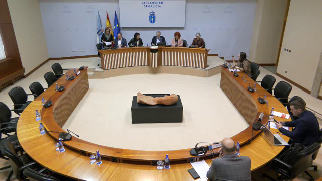 poster Comisión de Peticións