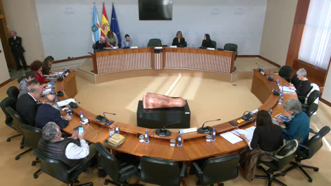 Comisión  Permanente  non  lexislativa  de  Control  da  CSAG