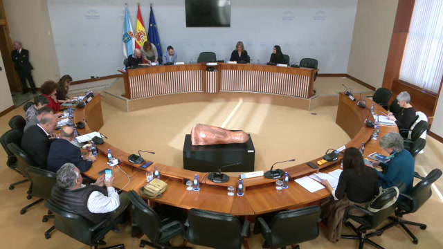 poster Comisión  Permanente  non  lexislativa  de  Control  da  CSAG