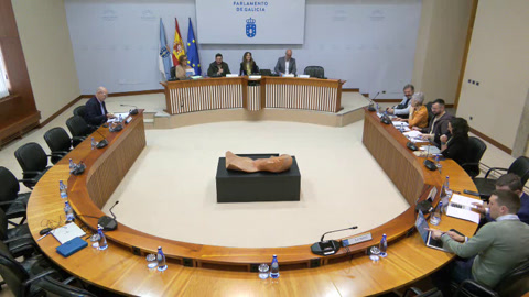 Comisión 2ª, Ordenación Territorial, Obras Públicas, Medio Ambiente e Servizos