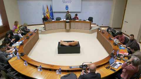 Comisión 5ª: Sanidade, Politica Social e Emprego.