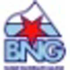 Grupo Parlamentario do Bloque