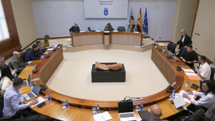poster Comisión Permanente non...