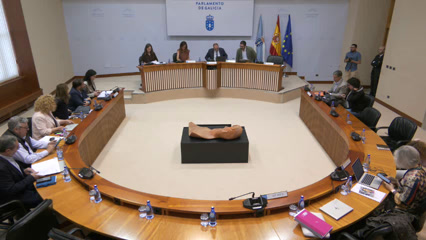 poster Comisión 1ª Institucional,...