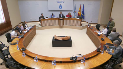 Comisión 4ª: Educación e Cultura