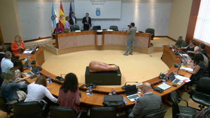 Comisión Permanente non Lexislativa para as Relacións co Consello de Contas