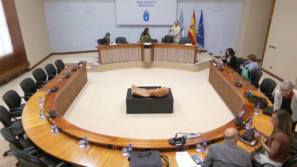 Comisión non permanente de estudo para a Igualdade e para os dereitos das mulleres