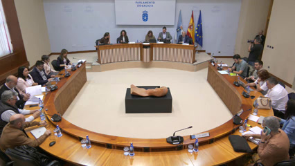 Comisión Permanente non lexislativa de Control de Control da Corporación RTVG