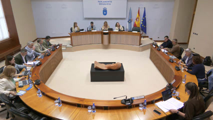 Comisión 6ª: Industria, Enerxía, Comercio e Turismo