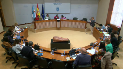 Comisión 5ª: Sanidade, Política Social e Emprego