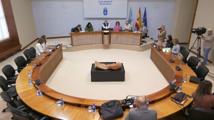 Comisión especial NP para o seguimento das politicas relativas á discapacidade