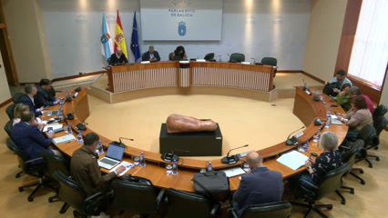 Comisión  3ª,  Economía,  Facenda  e  Orzamentos