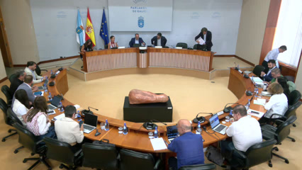 poster Comisión 1ª, Institucional,...