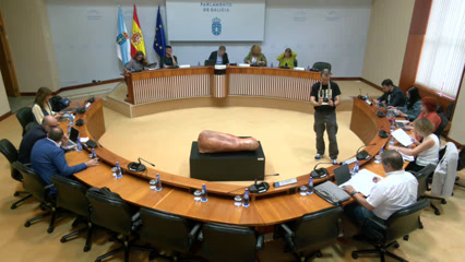 poster Comisión 4ª, Educación e...