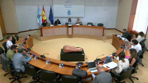 Comisión 2ª, Ordenación Territorial, Obras Públicas, Medio Ambiente e Servizos