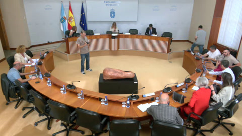 Comisión  6ª,  Industria,  Enerxía,  Comercio  e  Turismo