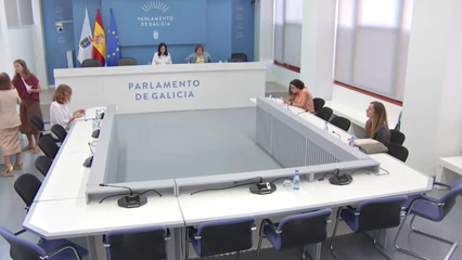 poster Comisión non permanente de...