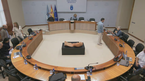 Comisión 4ª, Educación e Cultura