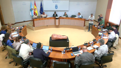 Comisión 5ª, Sanidade, Política Social e Emprego