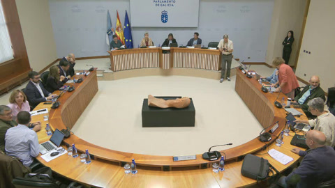Comisión non permanente especial de estudo sobre a posible modificación da letra do Himno de...