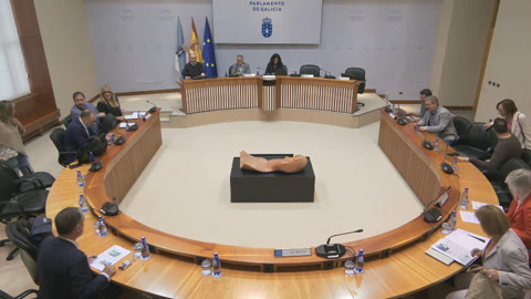 Comisión 3ª, Economía, Facenda e Orzamentos