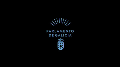 Comisión Permanente non lexislativa de Control da Corporación de Servizos Audiovisuais de...