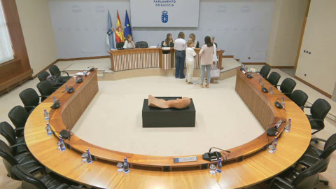 Comisión especial NP para o seguimento das politicas relativas a discapacidade