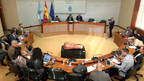Comisión 2ª, Ordenación Territorial, Obras Públicas, Medio Ambiente e Servizos