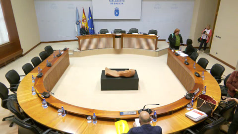 Comisión non permanente de estudo para a igualdade e para os dereitos das mulleres