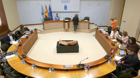 Comisión 4ª: Educación e Cultura
