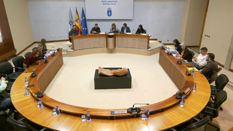 Comisión  Permanente  non  lexislativa  de  Control  da  Corporación  de  Servizos...