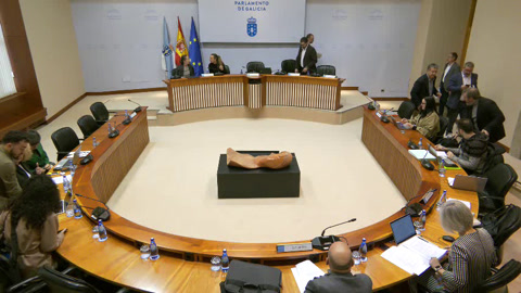 Comisión 1ª, Institucional, de Administración Xeral, Xustiza e Interior